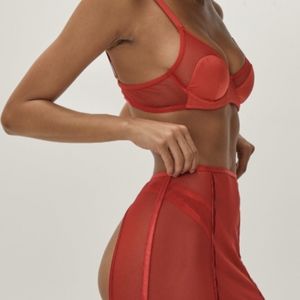 Mesh Bra With Suspenders 2PC